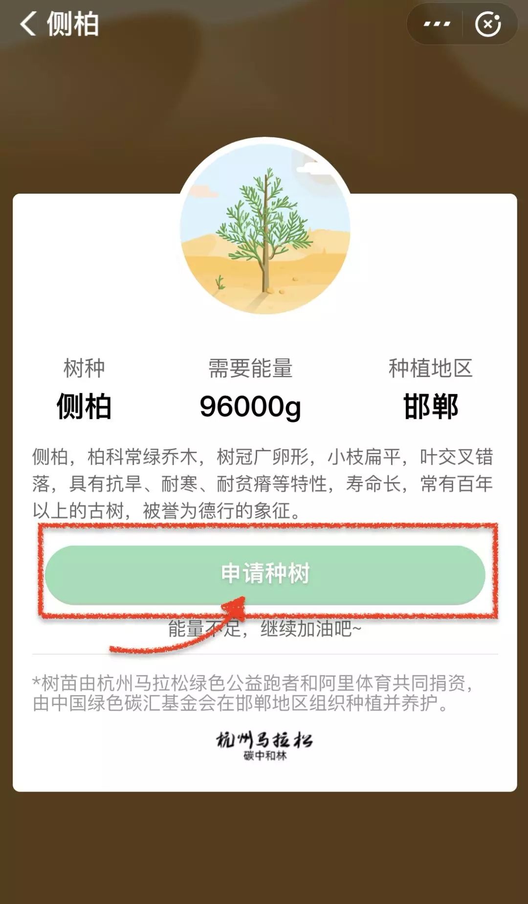 中国绿色碳汇基金会组织实施的碳中和项目汇总， 低碳旅游基金多个碳中和项目录入(图124)